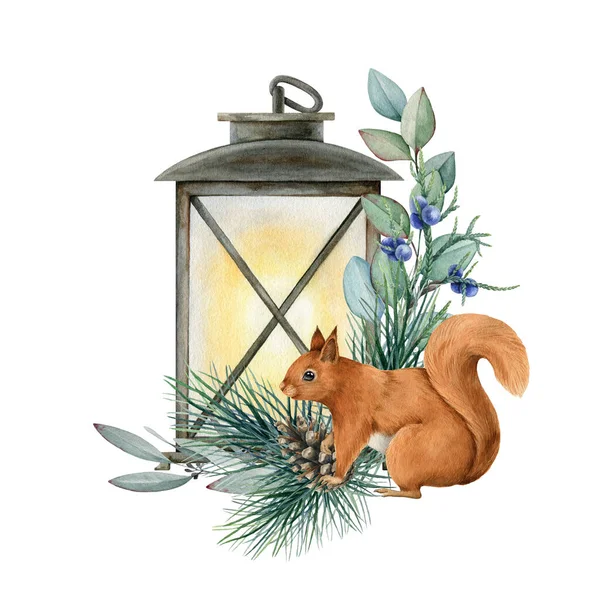 Lampe vintage florale d'hiver avec écureuil. Illustration aquarelle. Arrangement floral festif dessiné à la main. Vintage décor de lanterne confortable. Décoration de saison d'hiver avec écureuil, eucalyptus, pin, genévrier — Photo