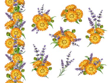 Lavanta ve calendula çiçekleri dekor elementi suluboya resimleme ayarladı. El çizimi taze takvim çiçekleri lavanta saplarıyla karıştırılmış çiçek desenleri beyaz arka planda izole edilmiş çiçek desenleri.