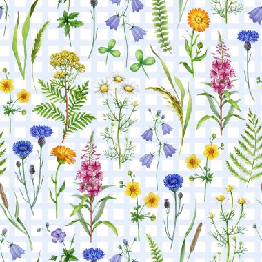 Çayır kır çiçekleri dikişsiz desenli vintage stil suluboya çizimi. El yapımı papatya çayı, mısır çiçeği, çan çiçeği, ateş otu, eğreltiotu çiçekli yaz çiçekleri.