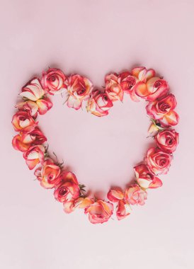 Pembe arka planda kalp şeklinde gül. Düz yatıyordu.