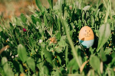 Otların arasında Paskalya tavşanı.
