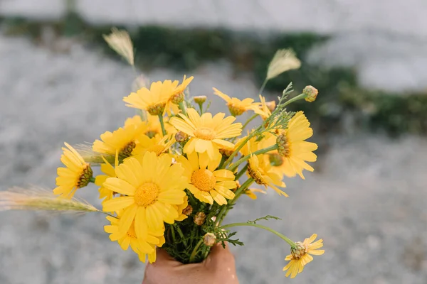 Bouquet Fleurs Sauvages Jaunes Main Printemps Coucher Soleil Roue Marguerite — Photo