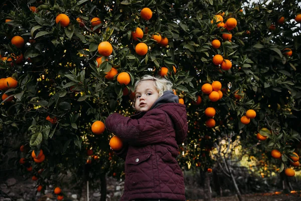 Niña en el jardín naranja. Imagen De Stock