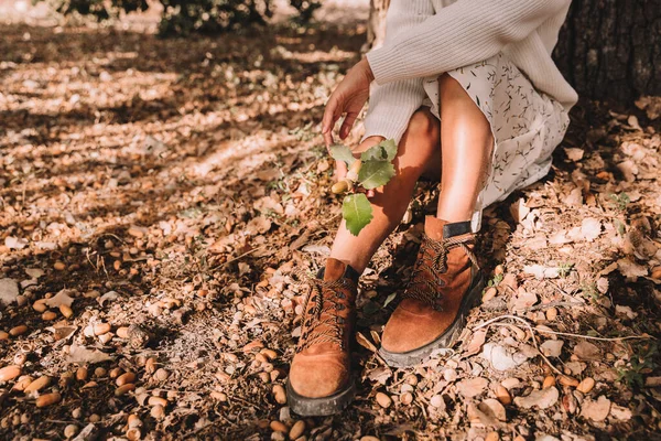  Ayaklar bir meşe ağacının altında. İlkbahar, sonbahar. Bulutlu mavi gökyüzü. 