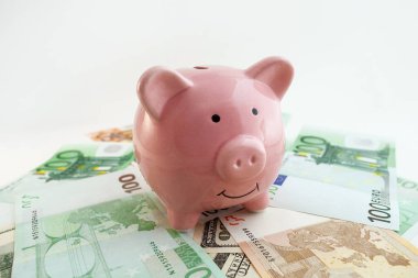 Domuz şekilli domuz kumbarası, euro banknotları ve izole edilmiş beyaz arka planda bize dolar.