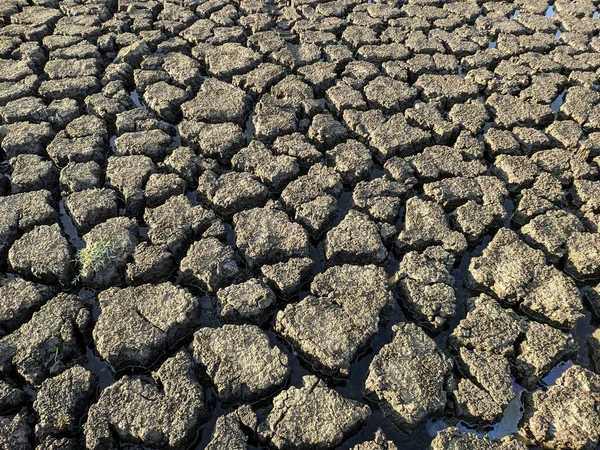 Sušené Popraskané Jezero Pozadí Textury Globální Oteplování — Stock fotografie