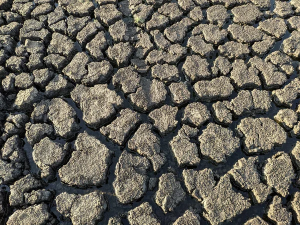 乾燥した割れた湖底のテクスチャ 地球温暖化 — ストック写真