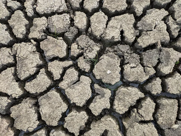 Getrockneter Rissiger Seeboden Hintergrund Textur Globale Erwärmung — Stockfoto