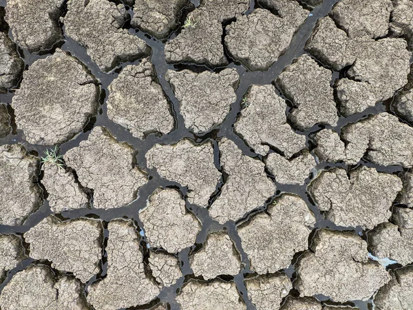 Dried Cracked Lake Bottom Background Texture Global Warming — Stock Photo, Image