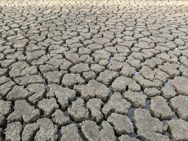 Essiccato Incrinato Fondo Del Lago Texture Riscaldamento Globale — Foto Stock