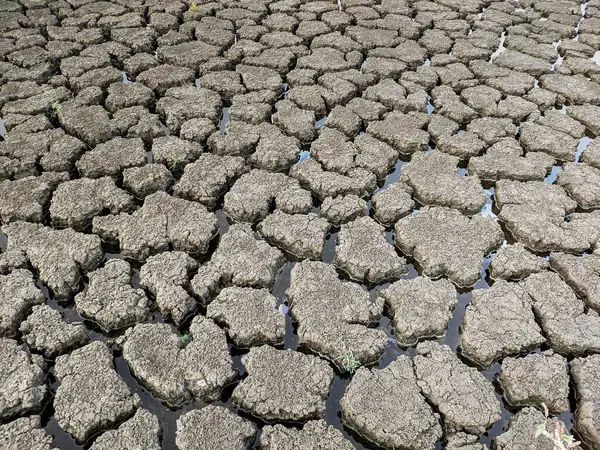 Seco Lago Agrietado Fondo Textura Calentamiento Global — Foto de Stock