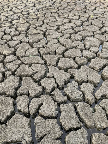 干涸湖底背景纹理全球变暖 — 图库照片