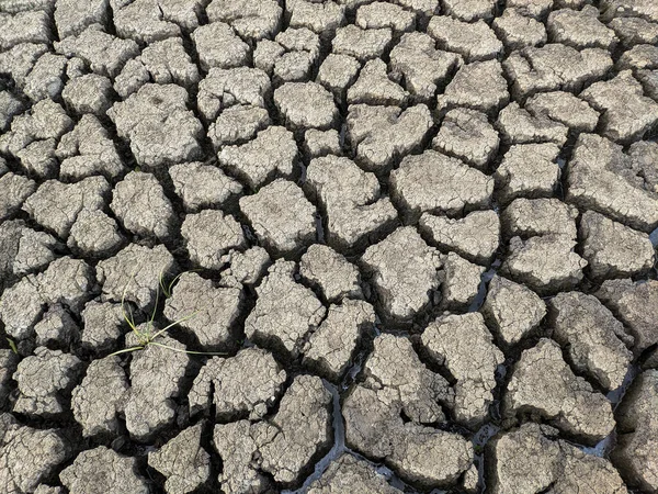 Essiccato Incrinato Fondo Del Lago Texture Riscaldamento Globale — Foto Stock