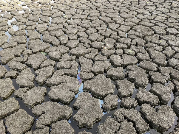 Sušené Popraskané Jezero Pozadí Textury Globální Oteplování — Stock fotografie