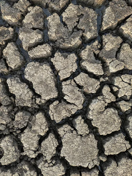 Dried Cracked Lake Bottom Background Texture Global Warming — Stock Photo, Image