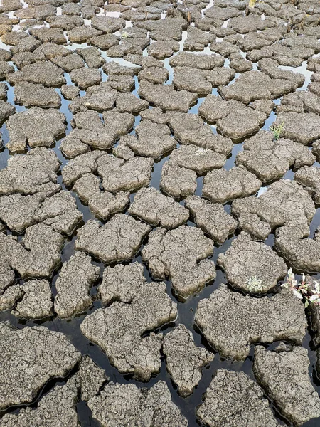 Dried Cracked Lake Bottom Background Texture Global Warming — Stock Photo, Image