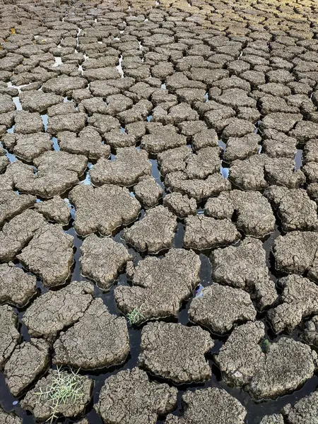 Dried Cracked Lake Bottom Background Texture Global Warming — Stock Photo, Image