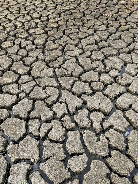 Essiccato Incrinato Fondo Del Lago Texture Riscaldamento Globale — Foto Stock