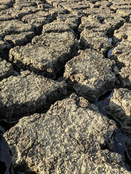 乾燥した割れた湖底のテクスチャ 地球温暖化 — ストック写真