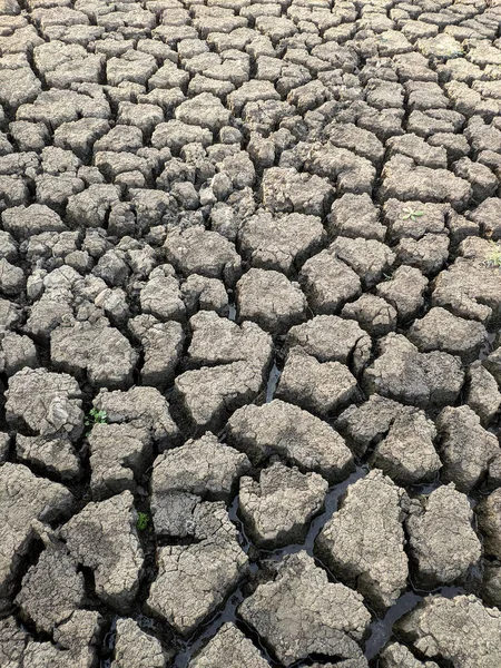 Essiccato Incrinato Fondo Del Lago Texture Riscaldamento Globale — Foto Stock