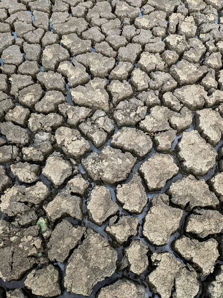 Essiccato Incrinato Fondo Del Lago Texture Riscaldamento Globale — Foto Stock