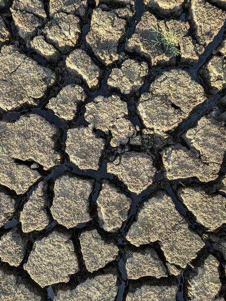 Getrockneter Rissiger Seeboden Hintergrund Textur Globale Erwärmung — Stockfoto