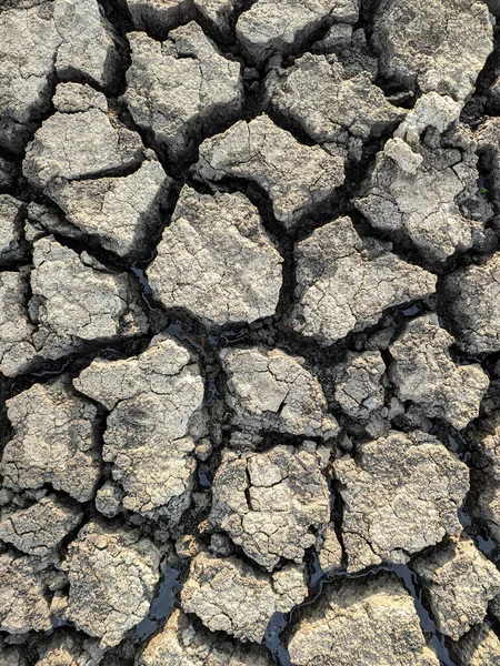 Dried Cracked Lake Bottom Background Texture Global Warming — Stock Photo, Image