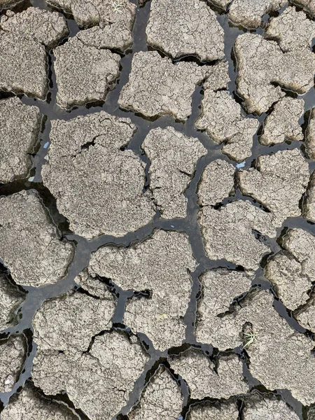 Torkad Sprucken Sjö Botten Bakgrund Struktur Global Uppvärmning — Stockfoto