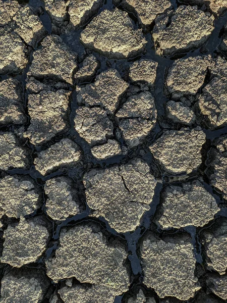 Dried Cracked Lake Bottom Background Texture Global Warming — Stock Photo, Image