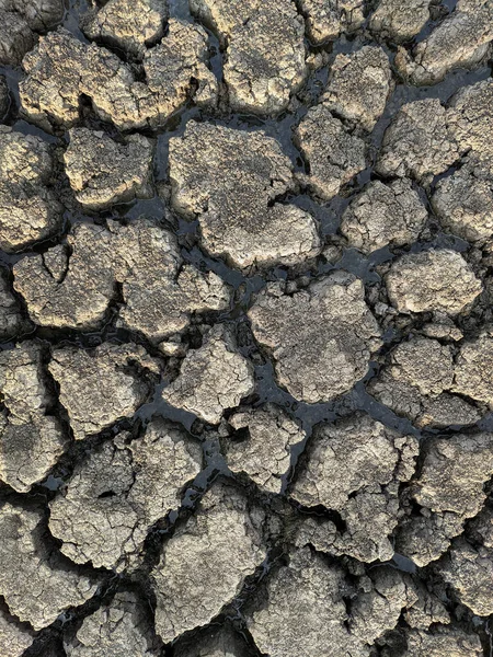 Dried Cracked Lake Bottom Background Texture Global Warming — Stock Photo, Image