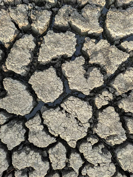 Dried Cracked Lake Bottom Background Texture Global Warming — Stock Photo, Image