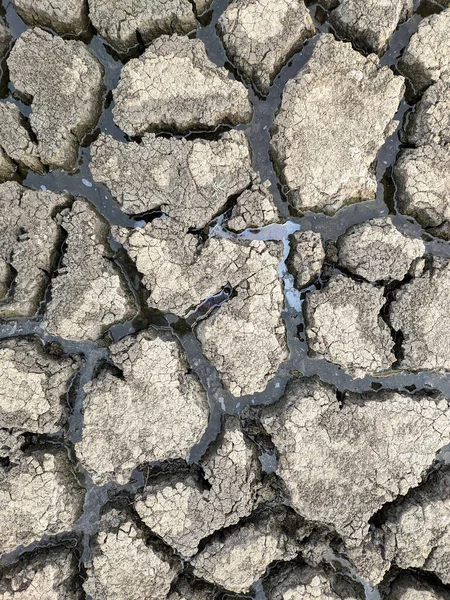 Dried Cracked Lake Bottom Background Texture Global Warming — Stock Photo, Image