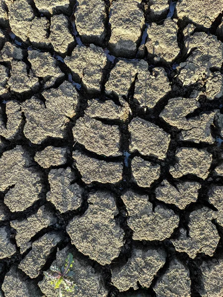 Sušené Popraskané Jezero Pozadí Textury Globální Oteplování — Stock fotografie