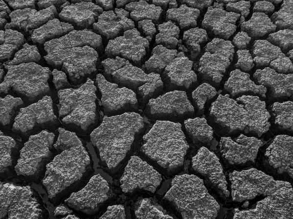 黑白两色干裂湖底背景纹理全球变暖 — 图库照片