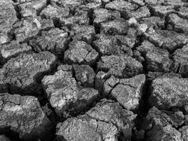 Black White Dried Cracked Lake Bottom Background Texture Global Warming — Stock Photo, Image