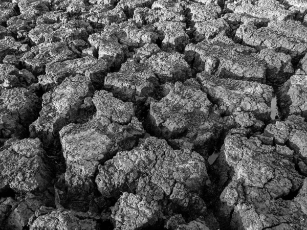 Black White Dried Cracked Lake Bottom Background Texture Global Warming — Stock Photo, Image