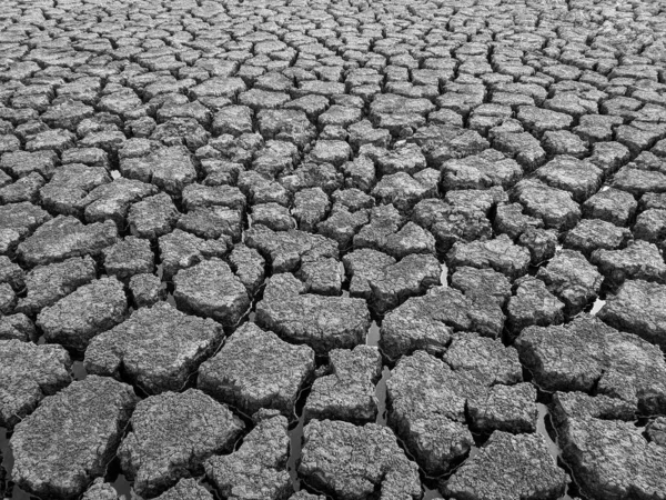 Black White Dried Cracked Lake Bottom Background Texture Global Warming — Stock Photo, Image