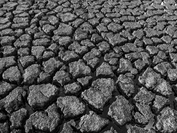 Black White Dried Cracked Lake Bottom Background Texture Global Warming — Stock Photo, Image