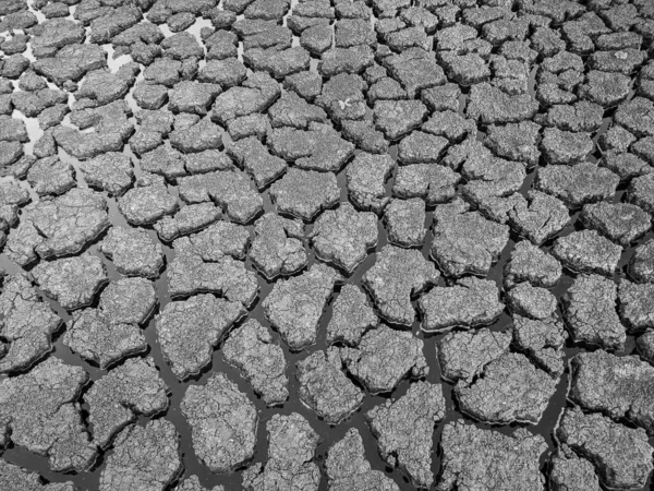 Black White Dried Cracked Lake Bottom Background Texture Global Warming — Stock Photo, Image