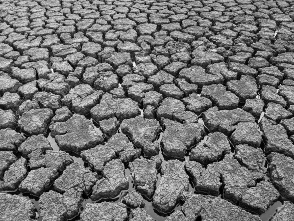 Černá Bílá Sušené Popraskané Jezero Spodní Pozadí Textura Globální Oteplování — Stock fotografie