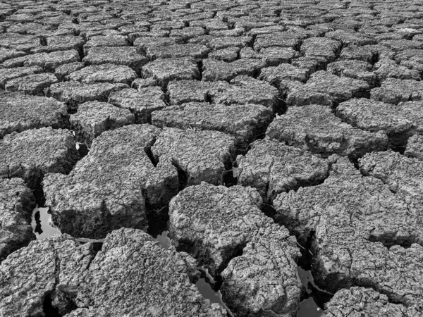 Černá Bílá Sušené Popraskané Jezero Spodní Pozadí Textura Globální Oteplování — Stock fotografie