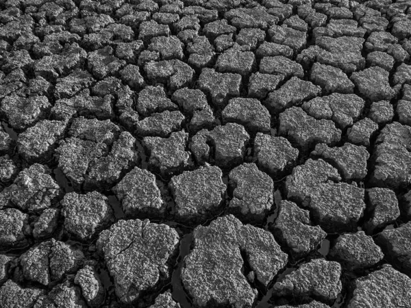 Black White Dried Cracked Lake Bottom Background Texture Global Warming — Stock Photo, Image