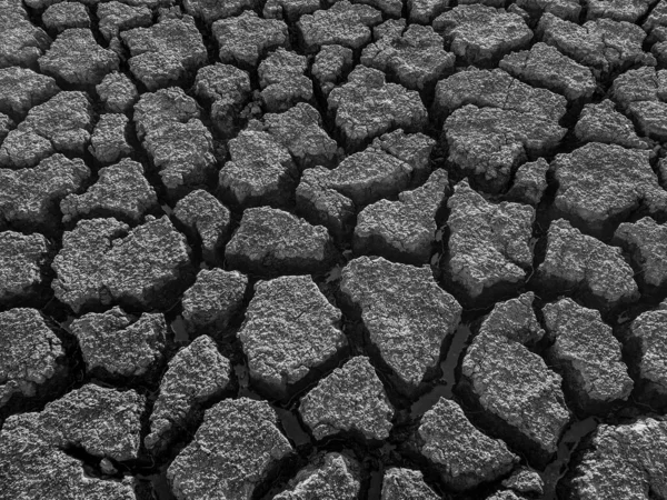 黑白两色干裂湖底背景纹理全球变暖 — 图库照片