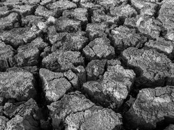 Black White Dried Cracked Lake Bottom Background Texture Global Warming — Stock Photo, Image