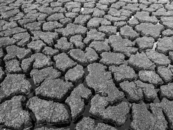 Black White Dried Cracked Lake Bottom Background Texture Global Warming — Stock Photo, Image