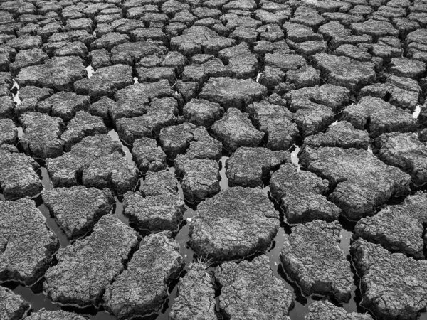 Black White Dried Cracked Lake Bottom Background Texture Global Warming — Stock Photo, Image