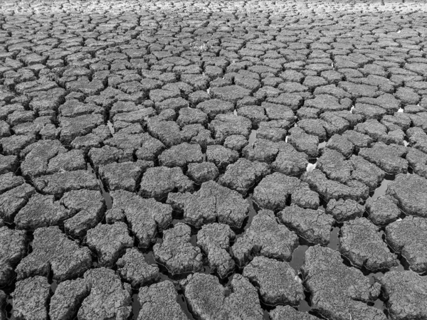 Černá Bílá Sušené Popraskané Jezero Spodní Pozadí Textura Globální Oteplování — Stock fotografie