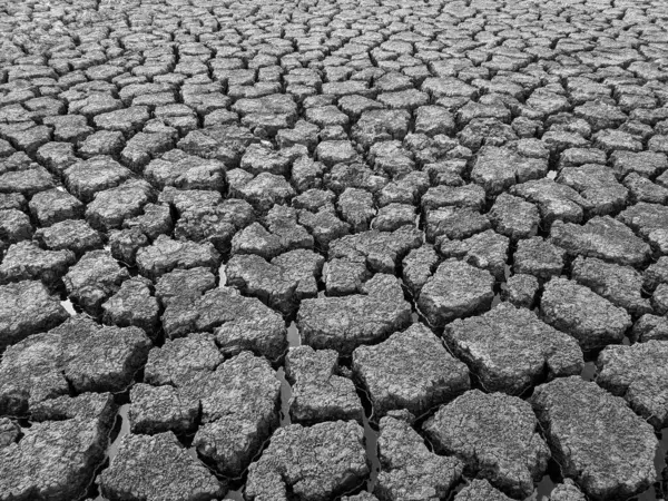 Black White Dried Cracked Lake Bottom Background Texture Global Warming — Stock Photo, Image