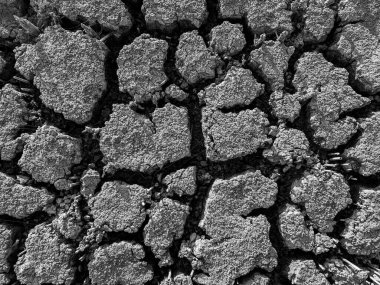 Siyah ve beyaz Kurumuş Göl arka plan dokusu Küresel Isınma