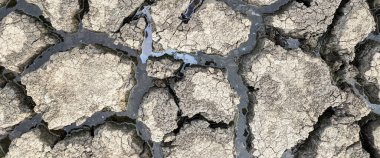 panorama kurumuş kırık göl arka plan dokusu küresel ısınma